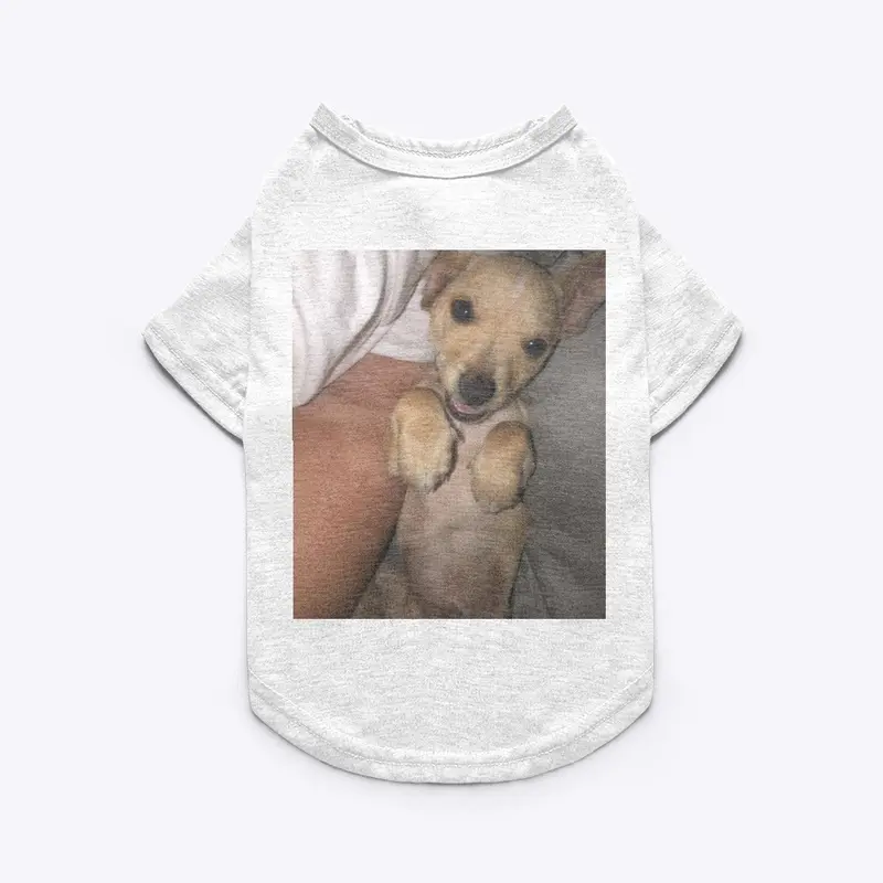 Chapo pet shirt