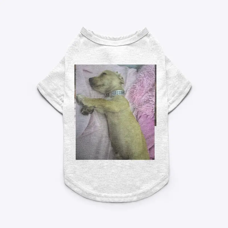 CHAPO dog shirt